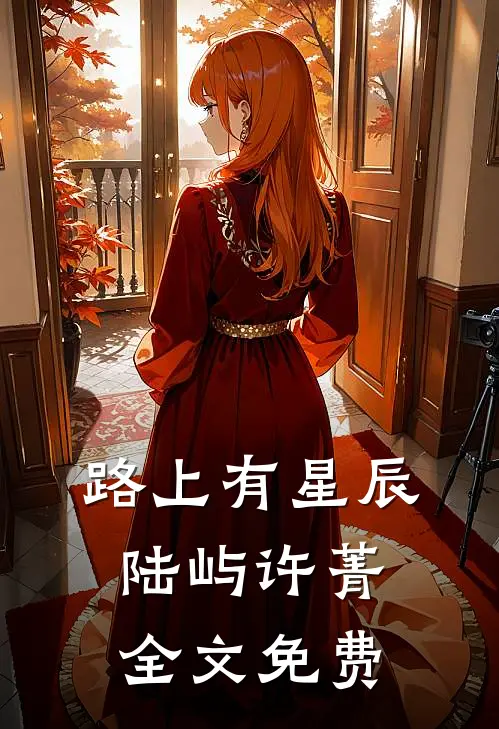 路上有星辰陆屿许菁全文免费