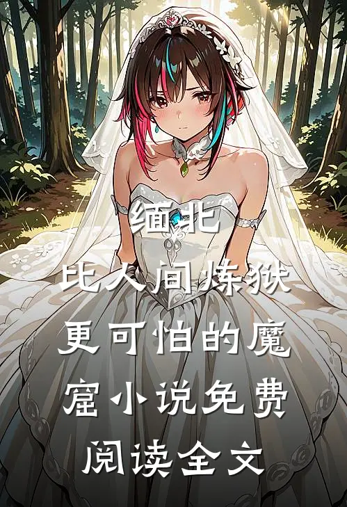 缅北：比人间炼狱更可怕的魔窟小说免费阅读全文