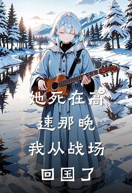 她死在高速那晚，我从战场回国了
