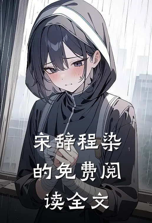 宋辞程染的免费阅读全文