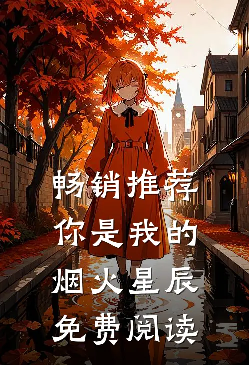 畅销推荐你是我的烟火星辰免费阅读