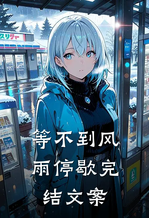 等不到风雨停歇完结文案