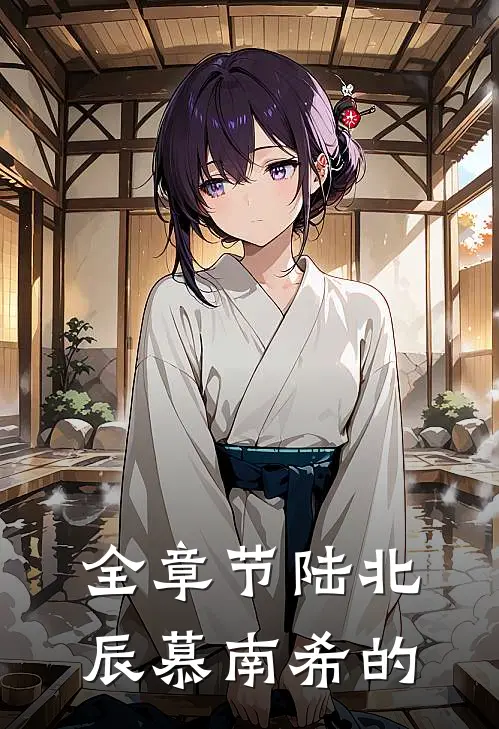 全章节陆北辰慕南希的