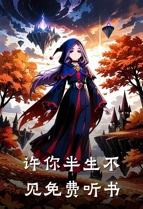 许你半生不见免费听书