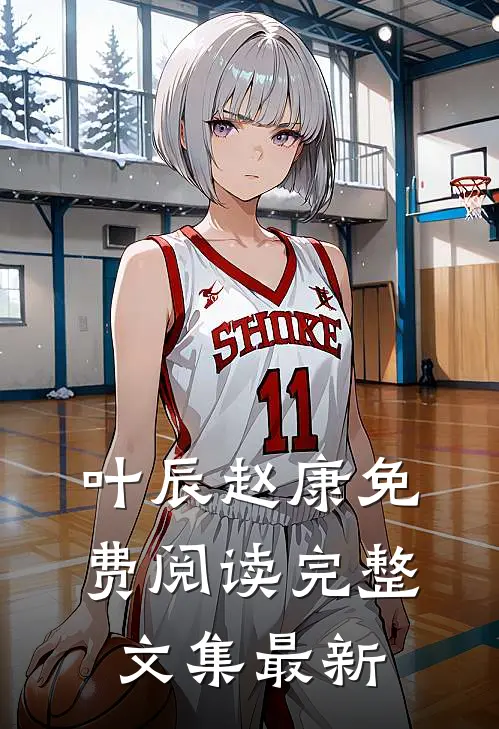 叶辰赵康免费阅读完整文集最新