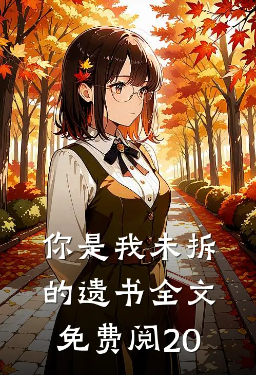 你是我未拆的遗书全文免费阅20