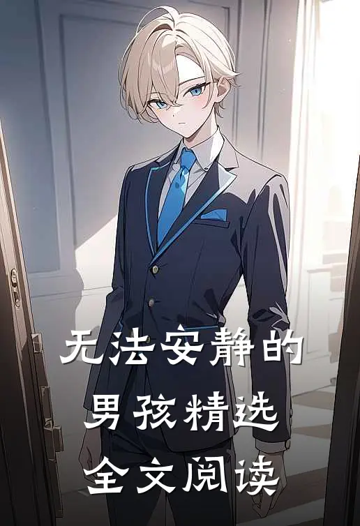 无法安静的男孩精选全文阅读