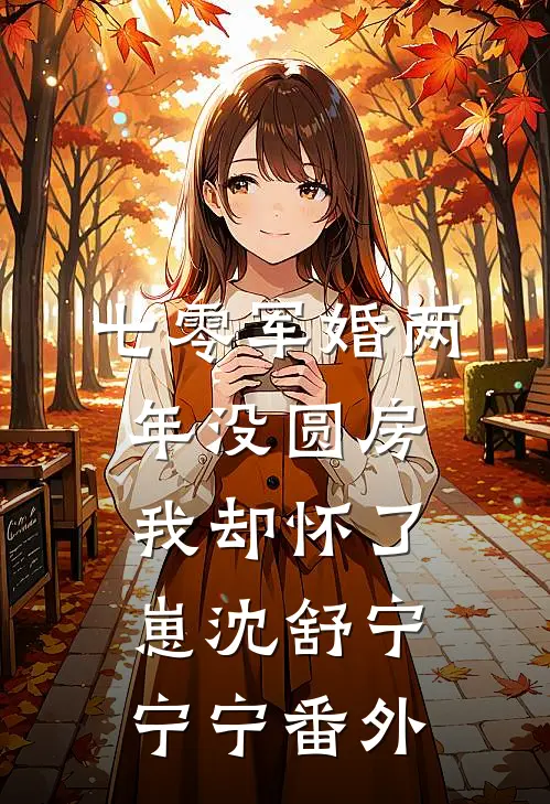 七零军婚两年没圆房，我却怀了崽沈舒宁宁宁番外