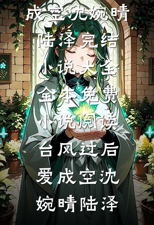 台风过后爱成空沈婉晴陆泽完结小说大全_全本免费小说阅读台风过后爱成空(沈婉晴陆泽)