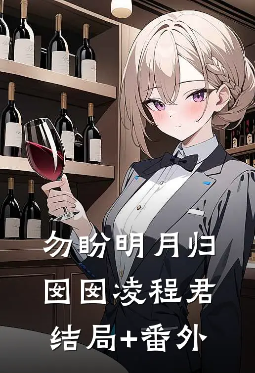 勿盼明月归囡囡凌程君结局+番外