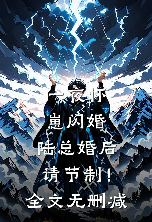 一夜怀崽闪婚，陆总婚后请节制！全文无删减