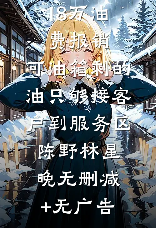 公司卡我18万油费报销，可油箱剩的油只够接客户到服务区陈野林星晚无删减+无广告