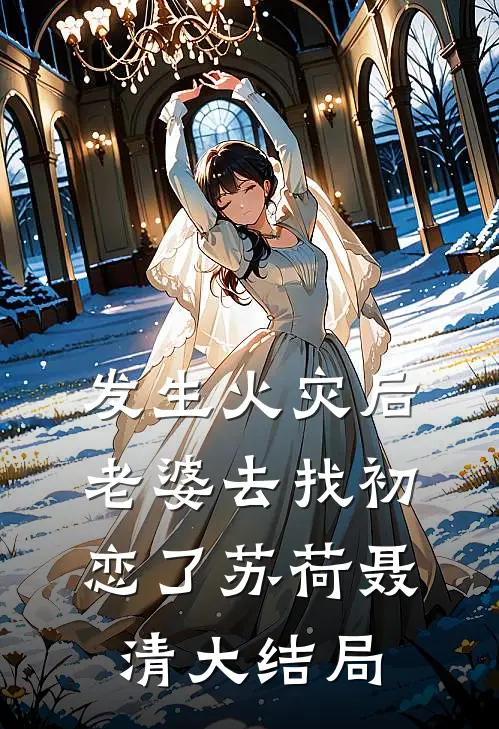 发生火灾后，老婆去找初恋了苏荷聂清大结局