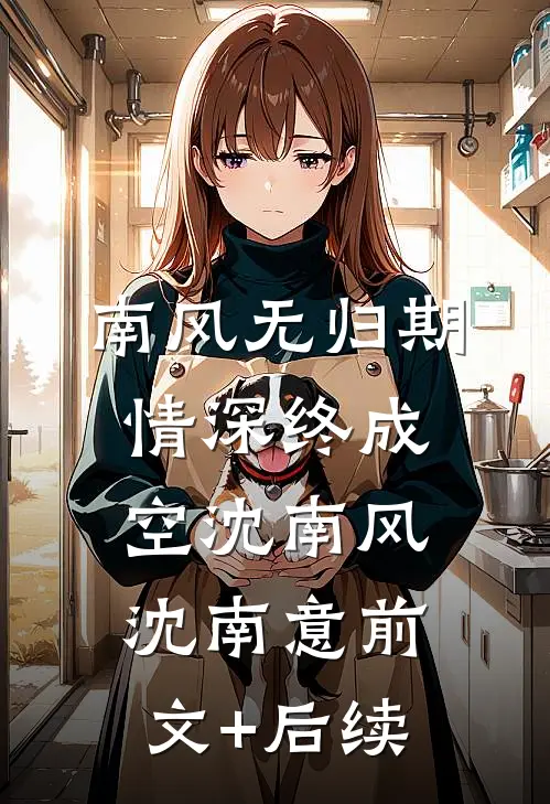 南风无归期，情深终成空沈南风沈南意前文+后续
