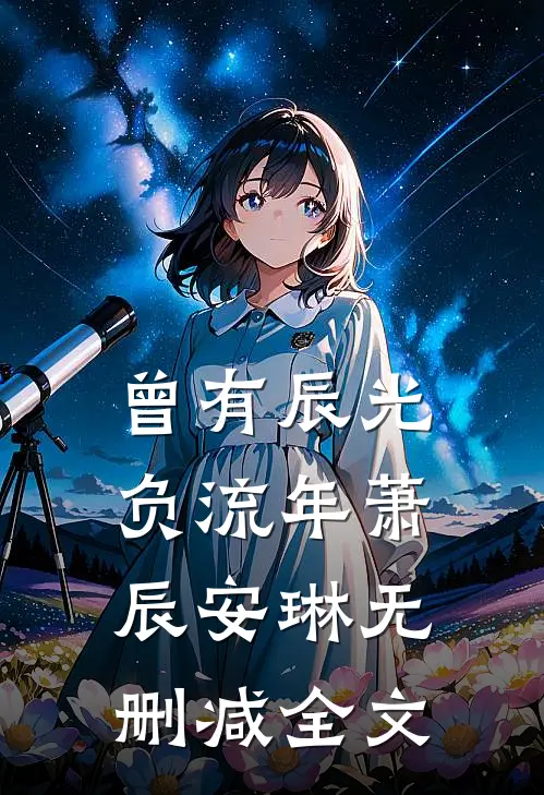 曾有辰光负流年萧辰安琳无删减全文