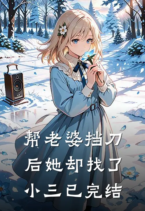 帮老婆挡刀后她却找了小三已完结