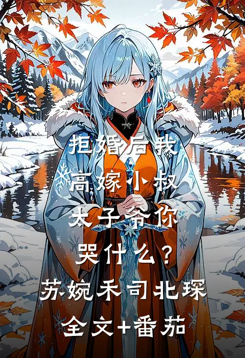 拒婚后我高嫁小叔，太子爷你哭什么？苏婉禾司北琛全文+番茄