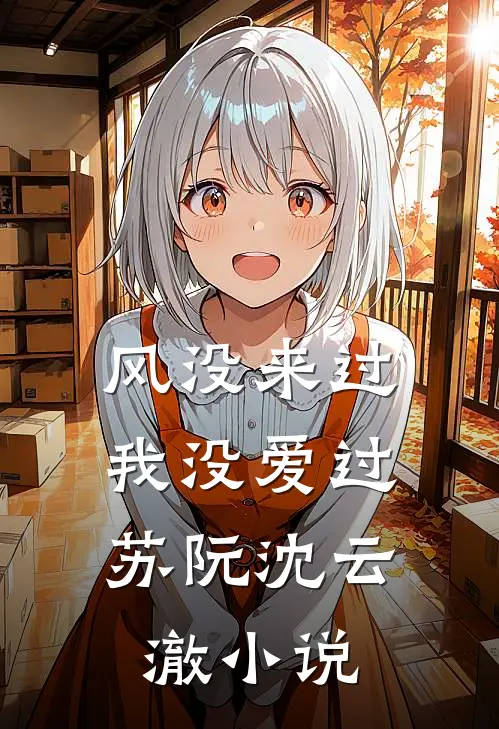 风没来过，我没爱过苏阮沈云澈小说