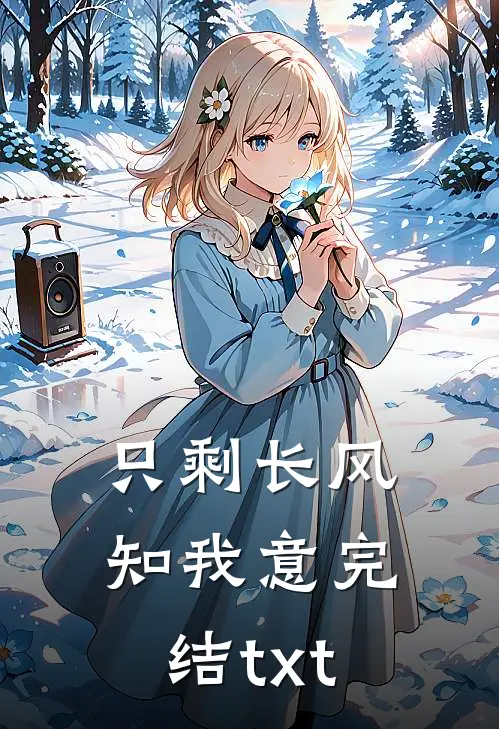 只剩长风知我意完结txt