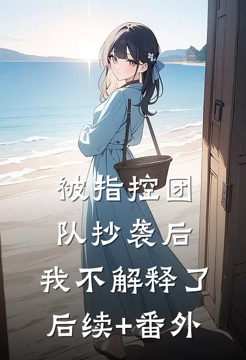 被指控团队抄袭后，我不解释了后续+番外
