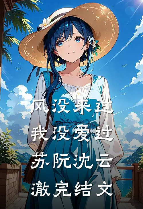 风没来过，我没爱过苏阮沈云澈完结文