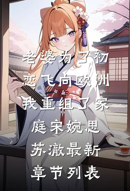 老婆为了初恋飞向欧洲，我重组了家庭宋婉思苏澈最新章节列表