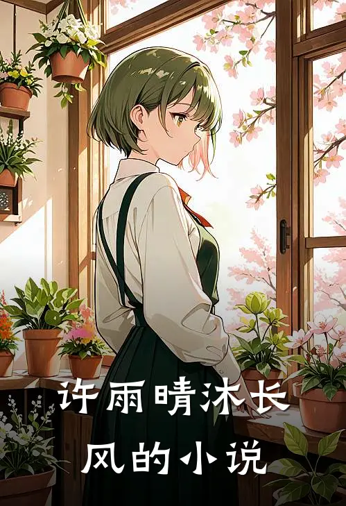 许雨晴沐长风的小说
