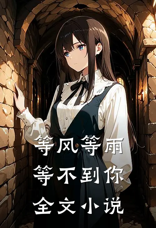 等风等雨等不到你全文小说