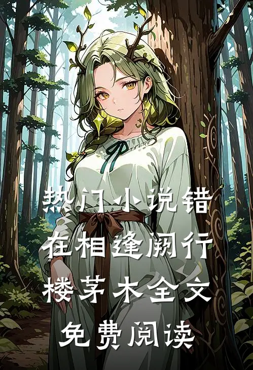 热门小说错在相逢阙行楼茅木全文免费阅读