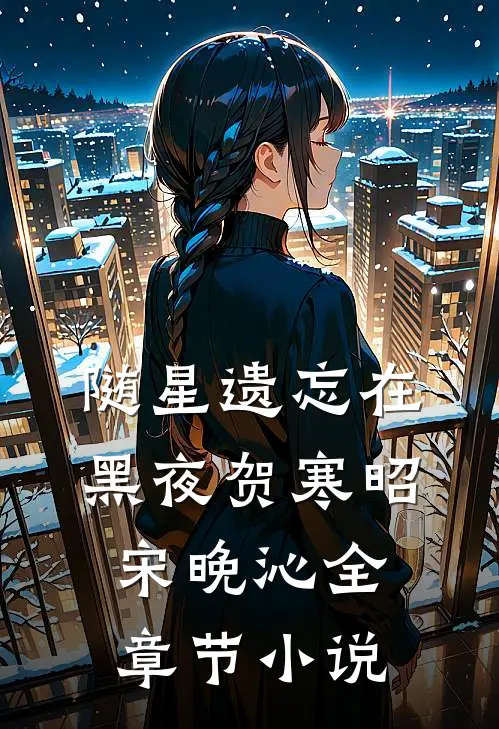 随星遗忘在黑夜贺寒昭宋晚沁全章节小说