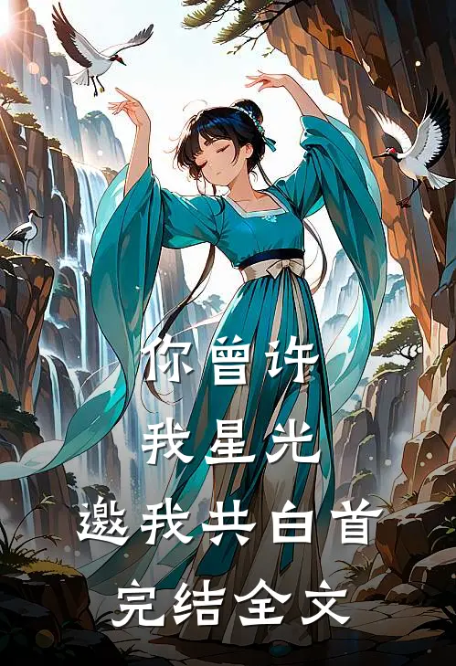 你曾许我星光，邀我共白首完结全文