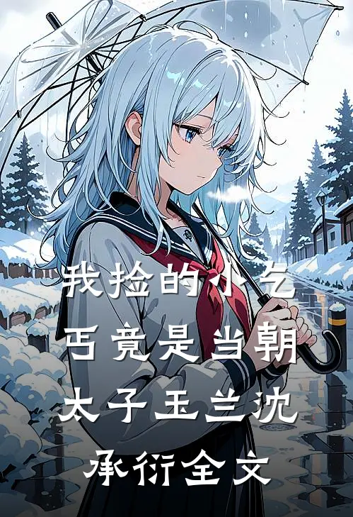 我捡的小乞丐竟是当朝太子玉兰沈承衍全文
