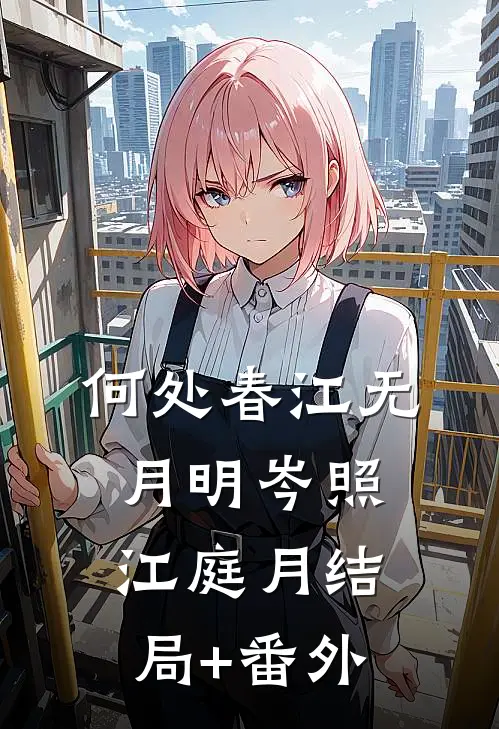 何处春江无月明岑照江庭月结局+番外