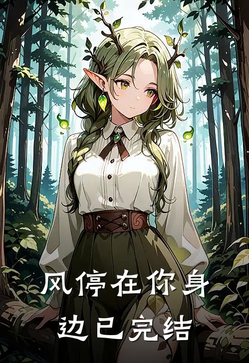 风停在你身边已完结