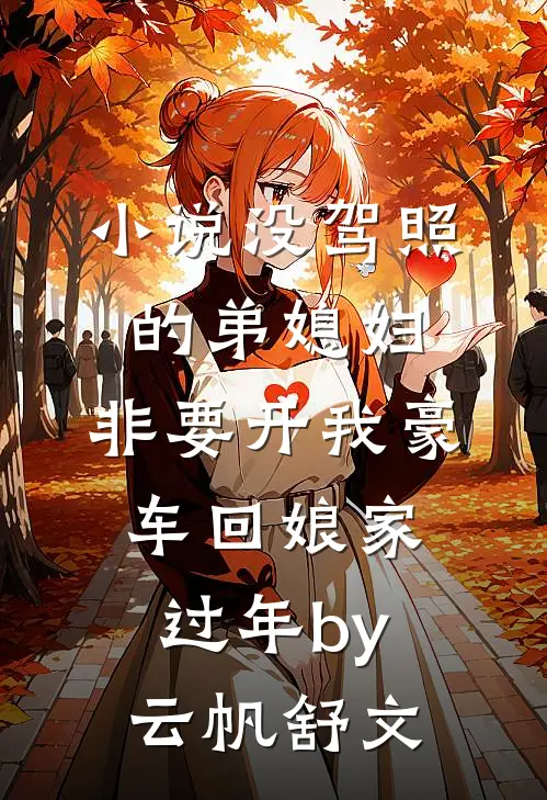 小说没驾照的弟媳妇，非要开我豪车回娘家过年by云帆舒文