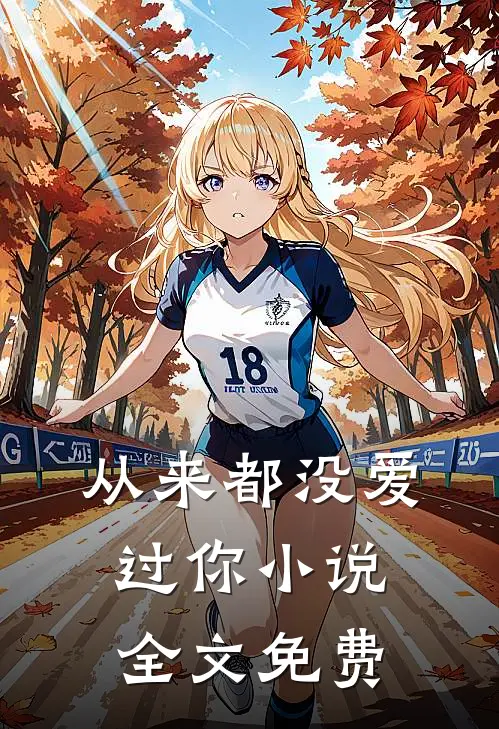 从来都没爱过你小说全文免费