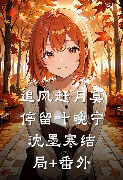 追风赶月莫停留叶晚宁沈墨寒结局+番外