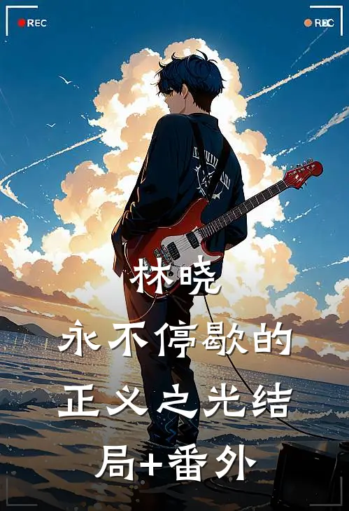 林晓：永不停歇的正义之光结局+番外