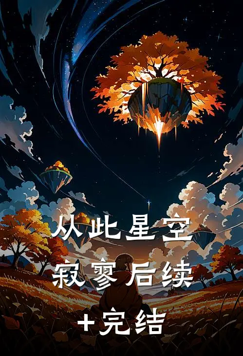 从此星空寂寥后续+完结