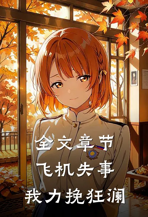 全文章节飞机失事，我力挽狂澜