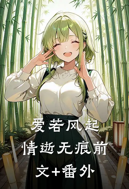爱若风起，情逝无痕前文+番外