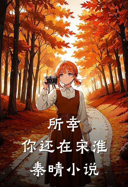 所幸，你还在宋淮秦晴小说