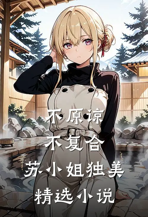 不原谅，不复合，苏小姐独美精选小说