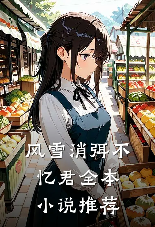 风雪消弭不忆君全本小说推荐