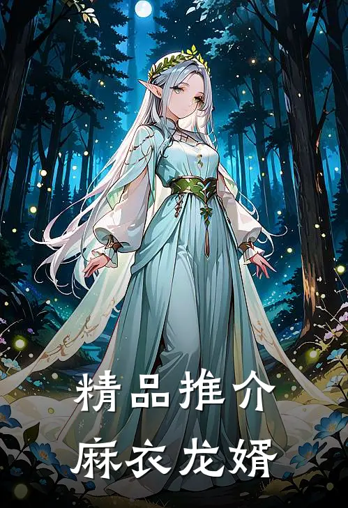 精品推介麻衣龙婿