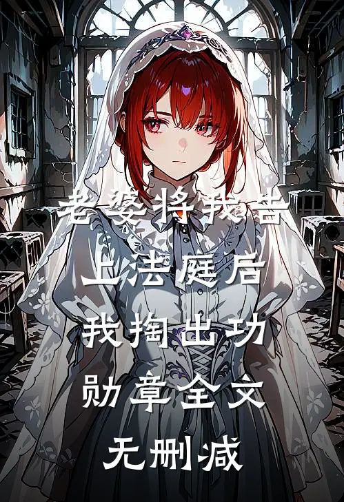 老婆将我告上法庭后，我掏出功勋章全文无删减
