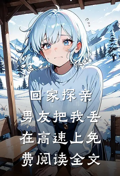 回家探亲，男友把我丢在高速上免费阅读全文